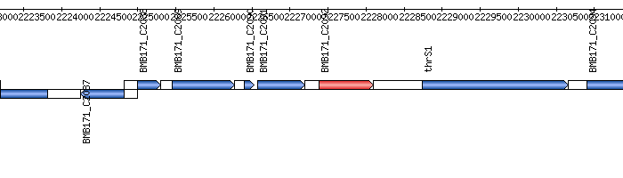 Genome Map